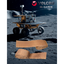 Rover Lunar